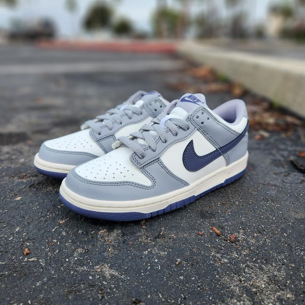 Nike Dunk store Low (GS)