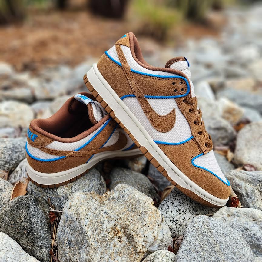 Nike Dunk Low Retro Premium