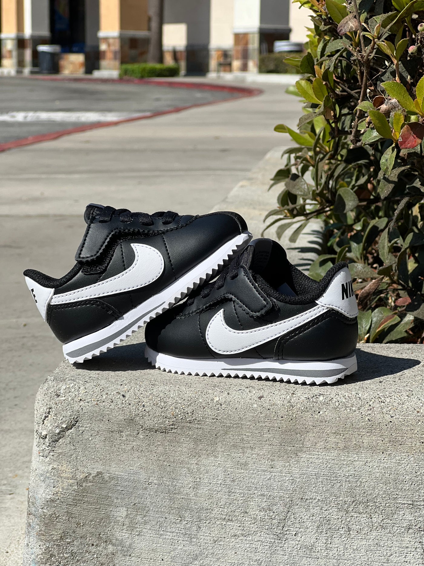 Nike Cortez TD