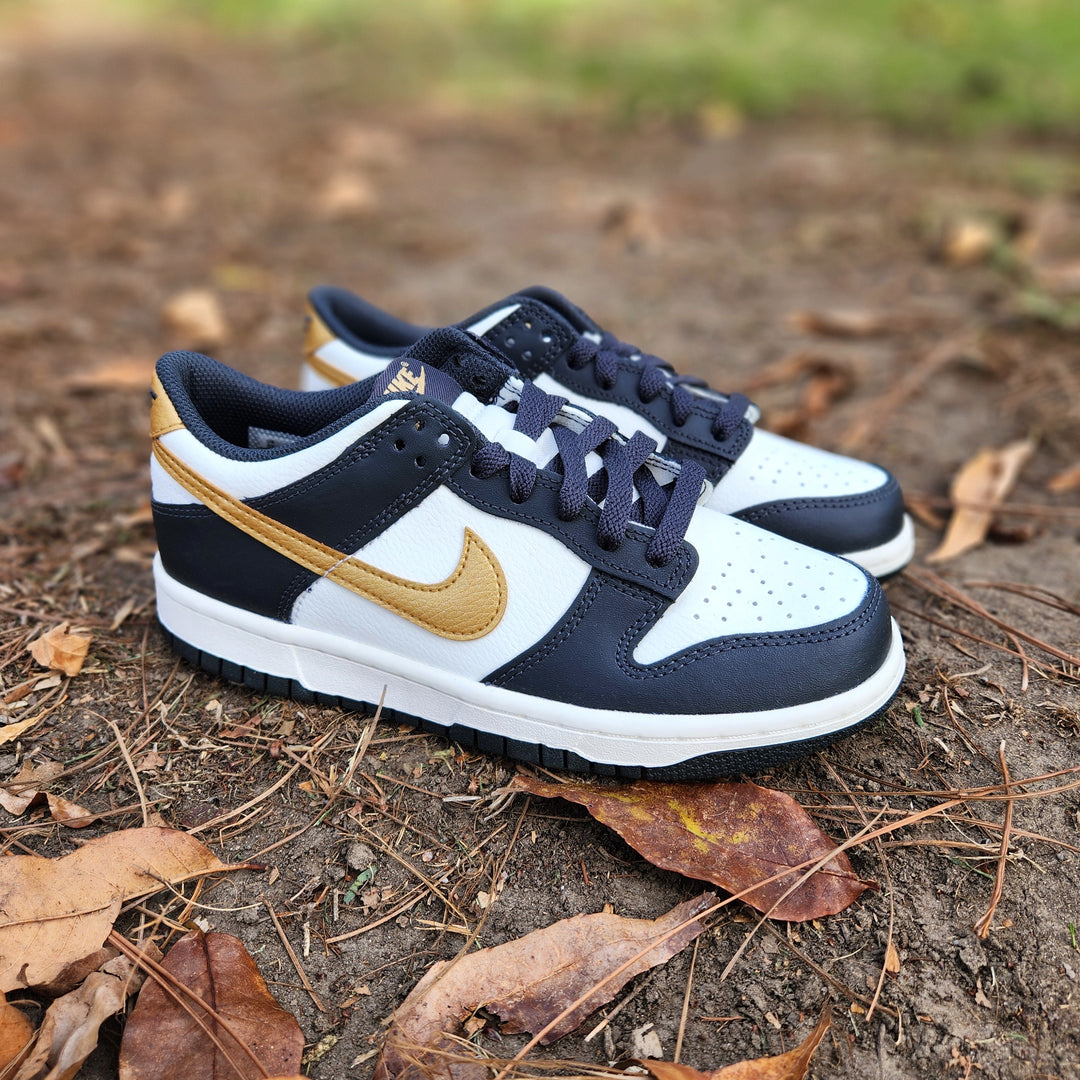 Nike outlet Dunk low (GS)