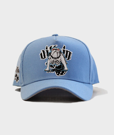 VILLAIN ATTIRE ICE DOGS BLUE HATS