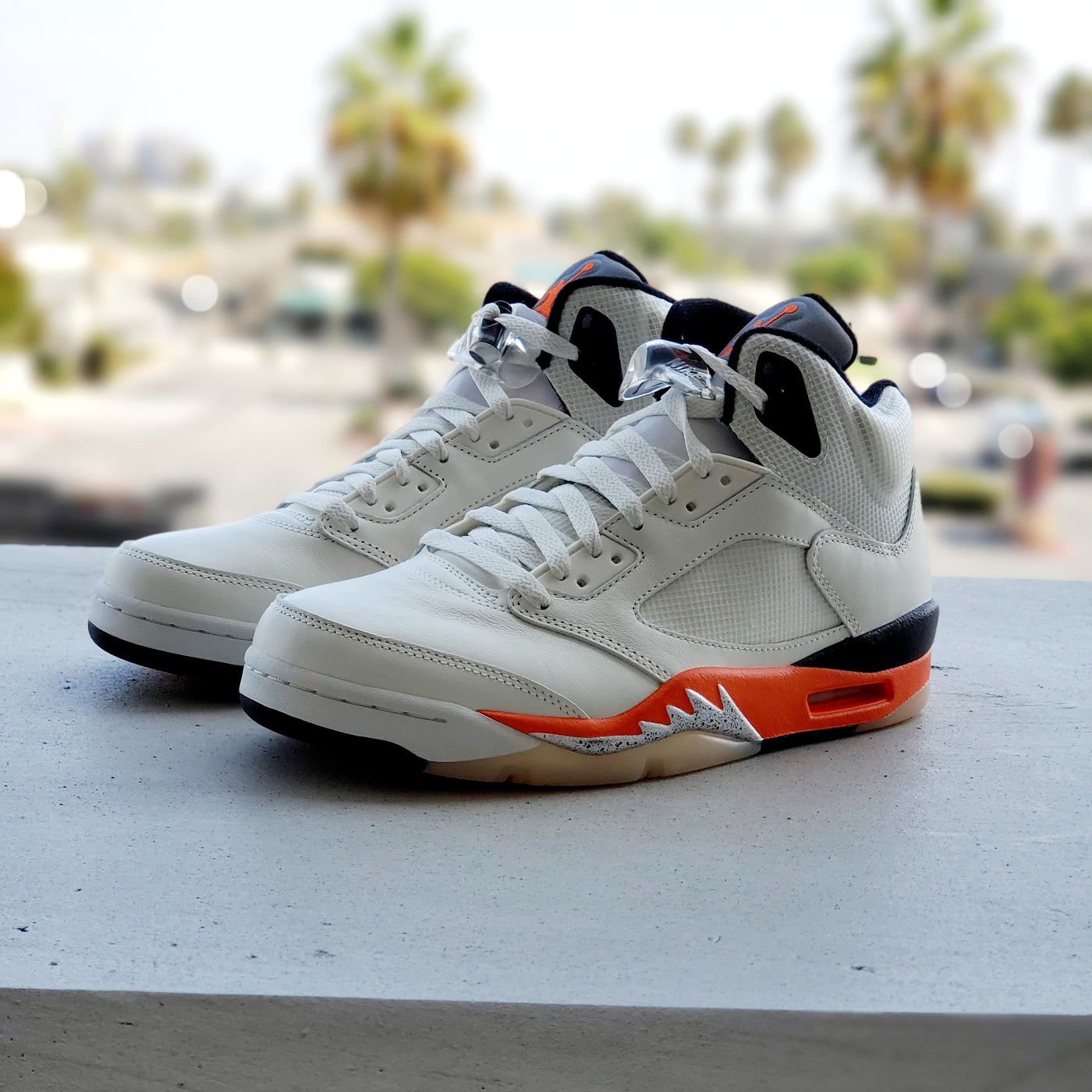 Air Jordan 5 Retro 'Shattered Backboard